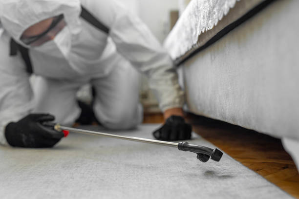 Professional Cockroach Control technician working in Barneveld, WI
